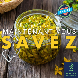 Quelles sont les 3 plantes sauvages utiles pour la peau ?