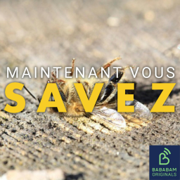 Acétamipride : pourquoi ce pesticide est-il controversé ?