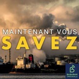 Comment la pollution agit-elle sur notre santé mentale ?