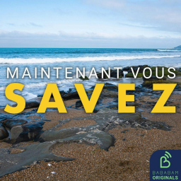 Qu’est-ce que la “plasticroûte”, cette nouvelle forme de pollution ?