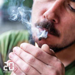 On connaît enfin les effets du cannabis sur le cerveau - (Rediffusion)