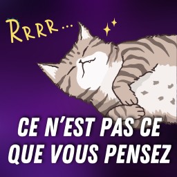 Pourquoi les chats ronronnent-ils ? 😽