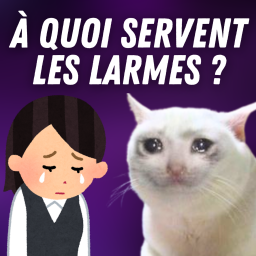 Science Infuse - Culture scientifique et curiosités étonnantes - Pourquoi l'humain pleure-t-il des larmes ? 😭