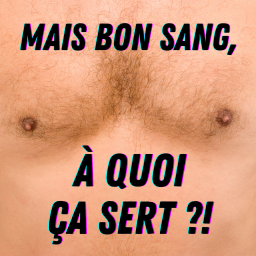 Pourquoi les hommes ont-ils des tétons ? 🤔