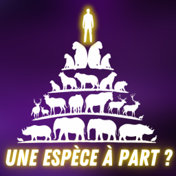 Science Infuse - Culture scientifique et curiosités étonnantes - L'humain est-il un animal comme les autres ? 🧐