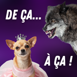 Science Infuse - Culture scientifique et curiosités étonnantes - Comment le loup a-t-il évolué en... chihuaha ?! 🐕