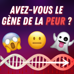 Pourquoi aime-t-on se faire peur ? 👻