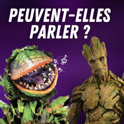 Science Infuse - Culture scientifique et curiosités étonnantes - Les plantes peuvent-elles dialoguer ? 🌱