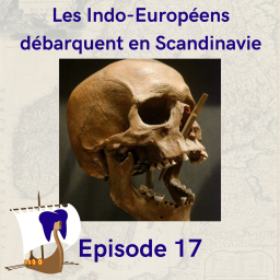 La Dent Bleue - L'histoire des vikings - 17 - Les Indo-Européens débarquent en Scandinavie
