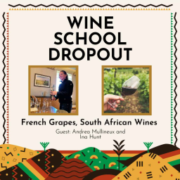 WSD Semester Abroad: French Grapes, South African Wines