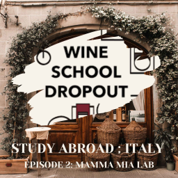 WSD Study Abroad: Mamma Mia Lab