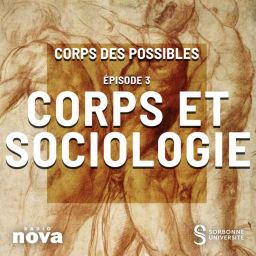 Épisode 3 : Corps et Sociologie