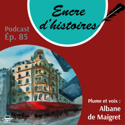 Épisode 85 : L'embellissement de Paris par Haussmann, un pari réussi