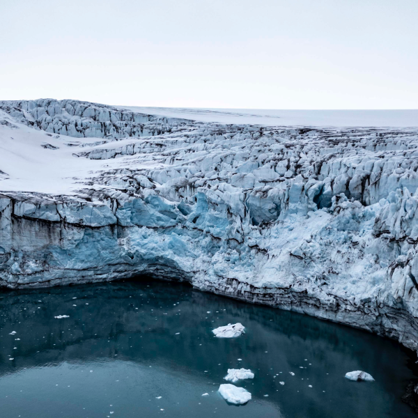 T'as vu l'heure ? - La plus grande réserve de pétrole au monde serait en Antarctique