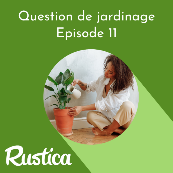 Questions de jardinage - L'arrosage des plantes d'intérieur