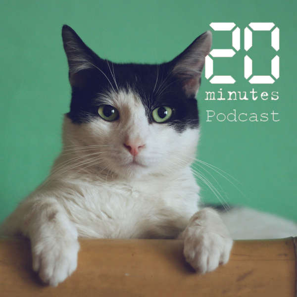 Minute Papillon! - Pourquoi les chats nous font du bien, avec Anne-Claire Gagnon, vétérinaire