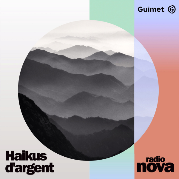"Michael Kenna - Haikus d'argent " au musée Guimet - Michael Kenna - Haikus d'argent - Épisode 1 : intro