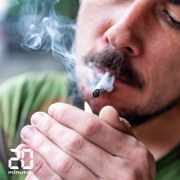 Sixième Science - On connaît enfin les effets du cannabis sur le cerveau