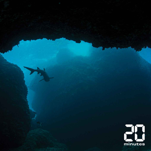 Sixième Science - Les fonds des océans vont-ils nous sauver ou causer notre perte ?