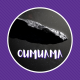 Oumuama, le premier signe d'une vie extraterrestre ?