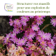 Facil'Printemps : Structurer vos massifs pour une explosion de couleurs au printemps