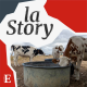 Les agriculteurs face à la sécheresse (1/2) : mesurer les dégâts
