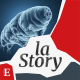 Blob et tardigrades, au service de la science