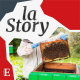 Agriculture : la bataille du miel