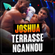 Anthony Joshua met KO Francis Ngannou !