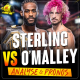 UFC 292 Aljamain Sterling vs Sean O'Malley - ANALYSE & PRONOSTICS