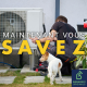 Comment améliorer l’air de son logement ?