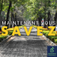 Les forêts urbaines permettent-elles vraiment de lutter contre le réchauffement climatique ?