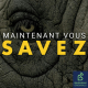 Les animaux peuvent-ils vraiment prédire les catastrophes naturelles ?