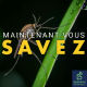 A quoi servent vraiment les moustiques ?