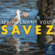 Qu’est-ce que le 7ème continent, ce désastre écologique ?