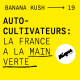BANANA KUSH #19 - Auto-cultivateurs : la France a la main verte