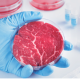 La viande de laboratoire pour sauver les animaux ?