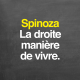 Spinoza : la droite manière de vivre