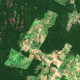 Google Earth, un outil pour sauver l'Amazonie