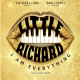 « Little Richard, I Am Everything » : Le documentaire sur l’architecte du rock’n’roll