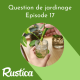 Bouturer facilement ses plantes d'intérieur