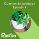 Quelles plantes d'intérieur jolies et robustes adopter au jardin ?