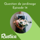 L'histoire des bouquets et fleurs coupées