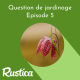 Réussir les fritillaires