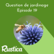 Comment préserver les abeilles au jardin