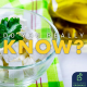 How did Feta cheese end up causing an international legal battle?