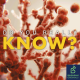 What is the black fungus epidemic?