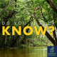 What does the future hold for the Amazon rainforest?