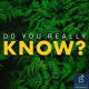 Can plants communicate with one another?