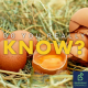 Can you eat eggs everyday?